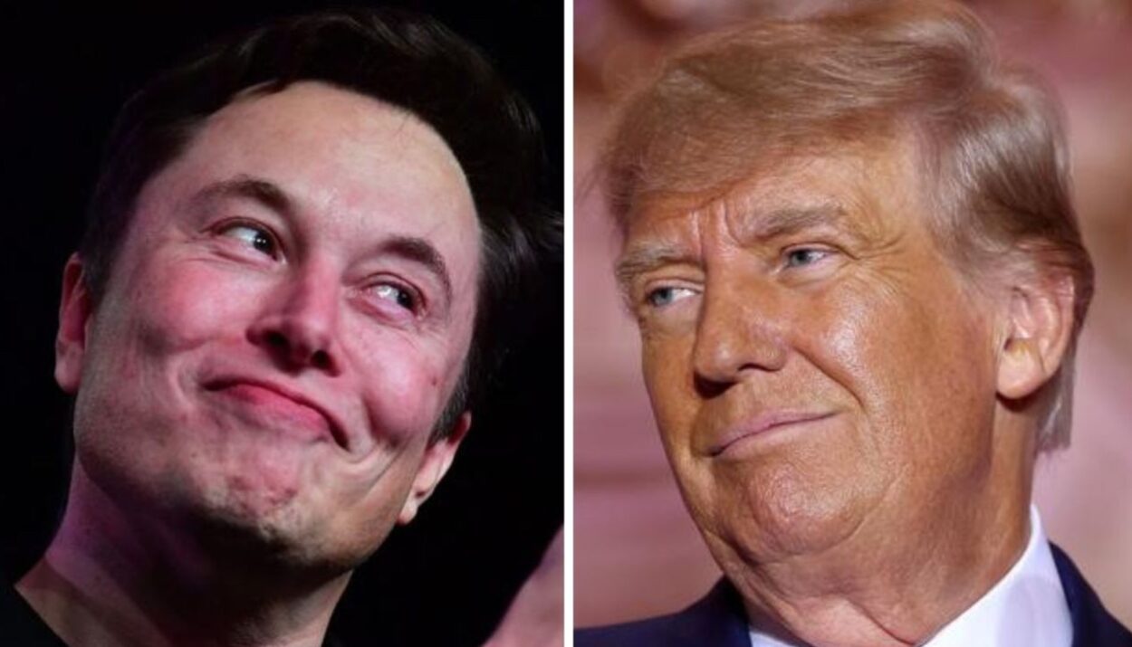 Elon musk trump his position