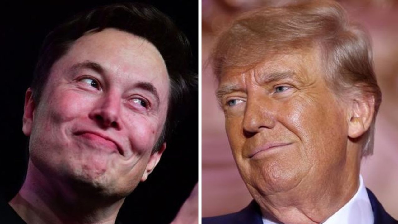 Elon musk trump his position