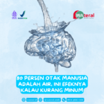Pengaruh kurang minum air putih terhadap fungsi otak dan memori