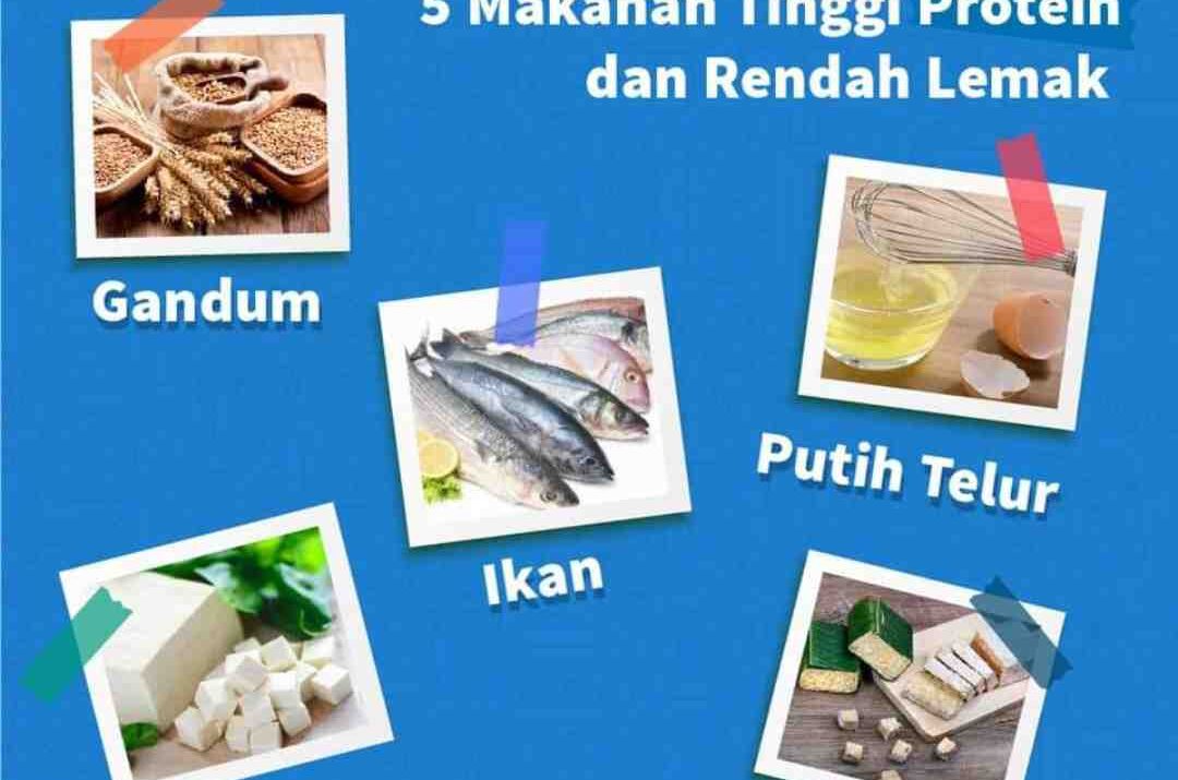 Daftar makanan sehat tinggi protein rendah lemak dan karbohidrat
