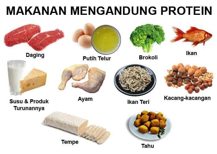 Daftar makanan sehat tinggi protein rendah lemak dan karbohidrat