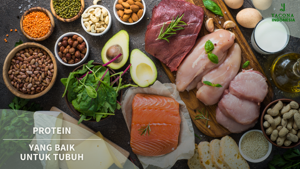 Dieta dukana obiad przepisy dukan cooked menambah dijeta wszystkie fazy lemme proteica sehat otot massa vitamina aportul carbohidrati intr sai
