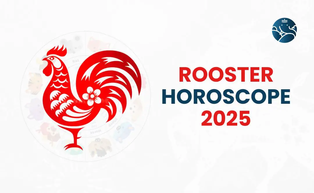 2025 chinese 2026 2024 horoscope astrology predictions sunsigns shui feng prediction dogs expect lucky horoscopes lunar