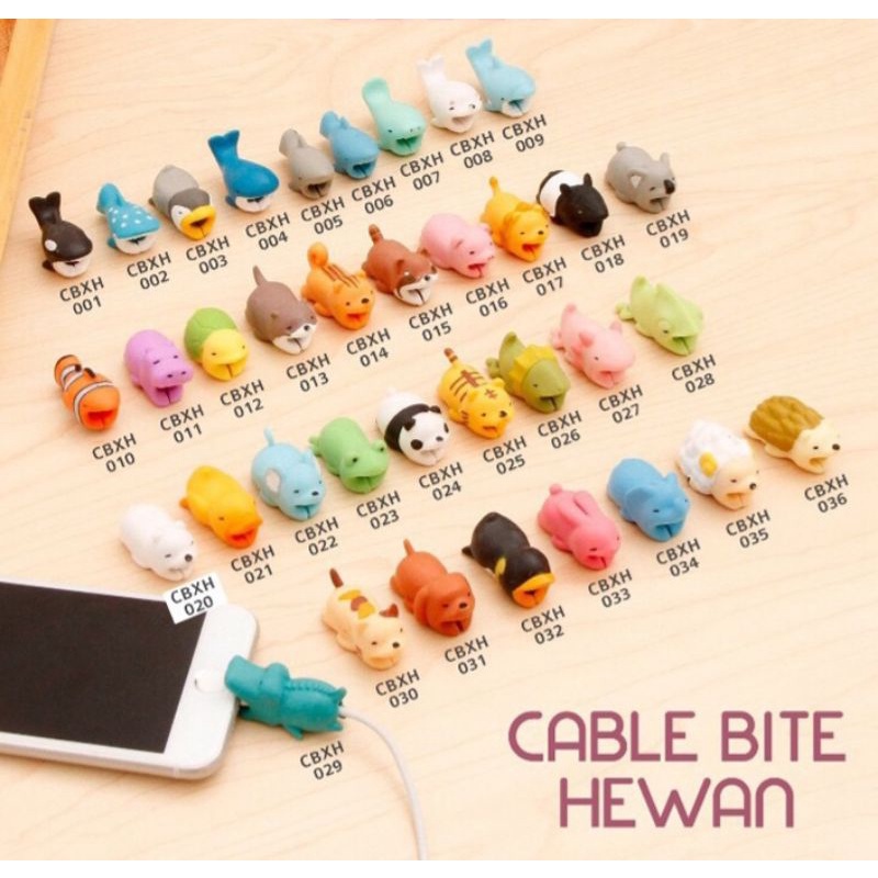 Cara efektif melindungi kabel charger dari gigitan hewan peliharaan