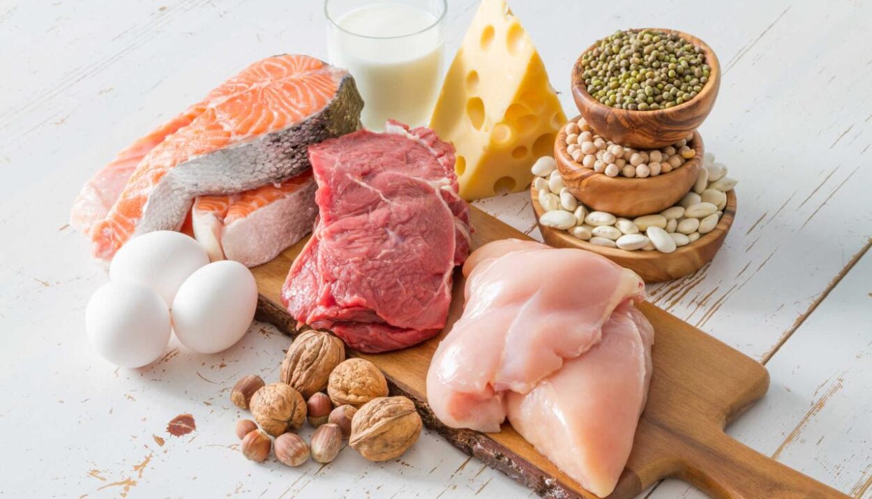 Resep makanan sehat full protein untuk binaragawan pemula
