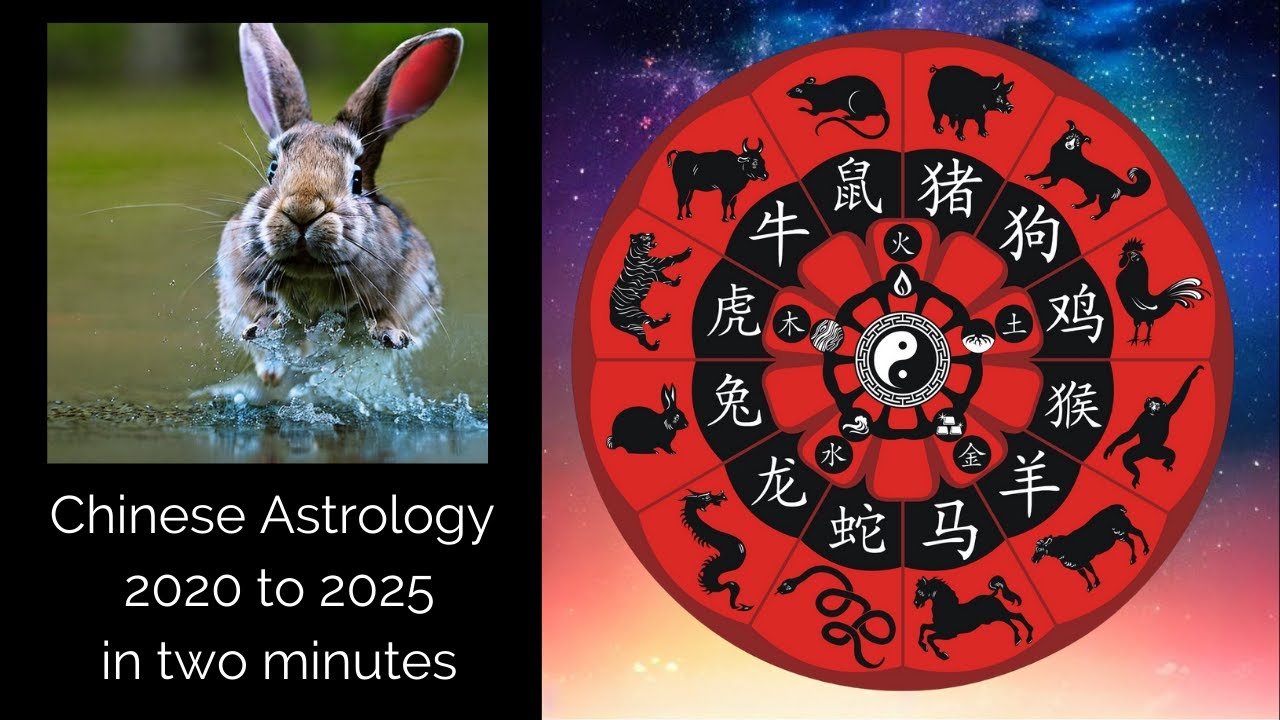 2025 chinese year herongyang