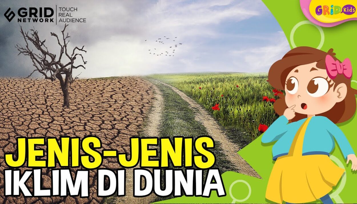 Perbedaan olahraga musim dingin di negara tropis dan subtropis