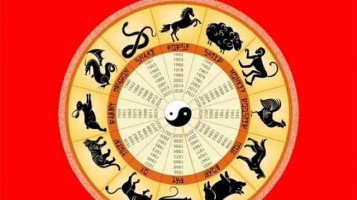 Shio ramalan babi tikus januari kupang logam banyak imlek bakal tanah utang terlalu investasi jangan cek tribun paling hoki pos