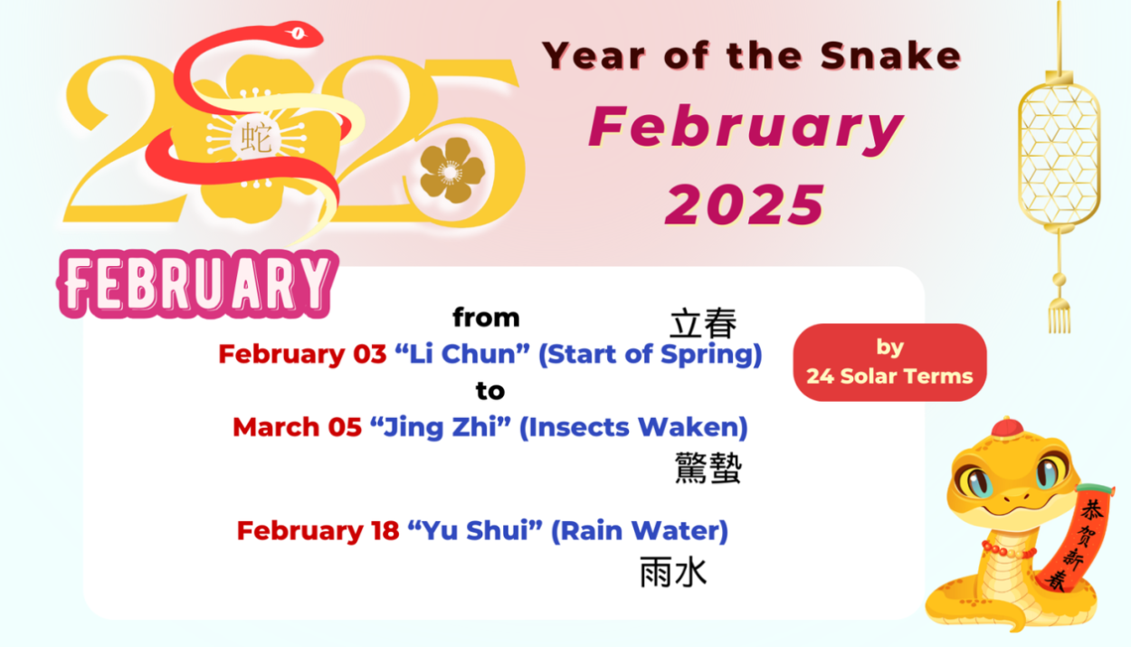 Feng shui kelahiran bayi februari 2025