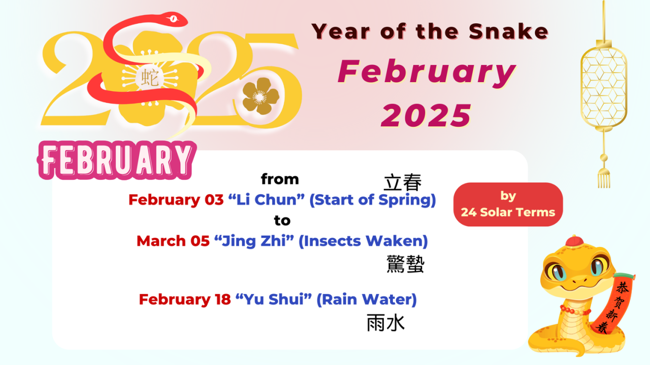Feng shui kelahiran bayi februari 2025