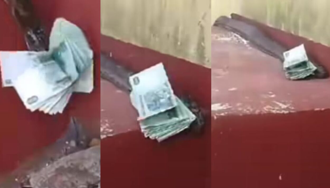 Cara mengatasi tantangan keuangan di tahun ular kayu
