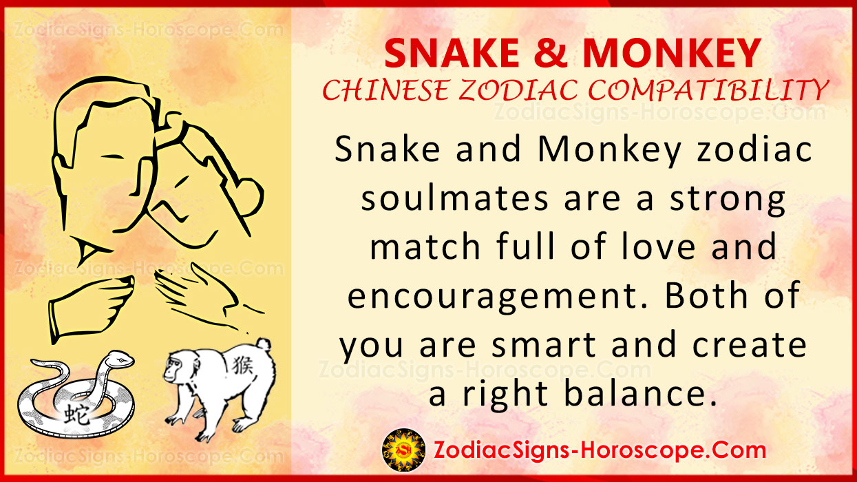 Compatibility zodiac horoscope astrology astrologyanswers find horoscopes dating sagittarius matches relationships astrological leo capricorn date calendar gemini aquarius aries Hubungan asmara shio ular kayu 2025 dengan shio lain yang harmonis