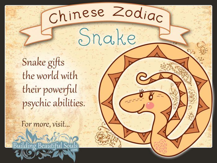 Snake year chinese born zodiac snakes quotes those do weird places resemble serpents sott turning alive countless reports calendar away Snake year chinese born zodiac snakes quotes those do weird places resemble serpents sott turning alive countless reports calendar away
