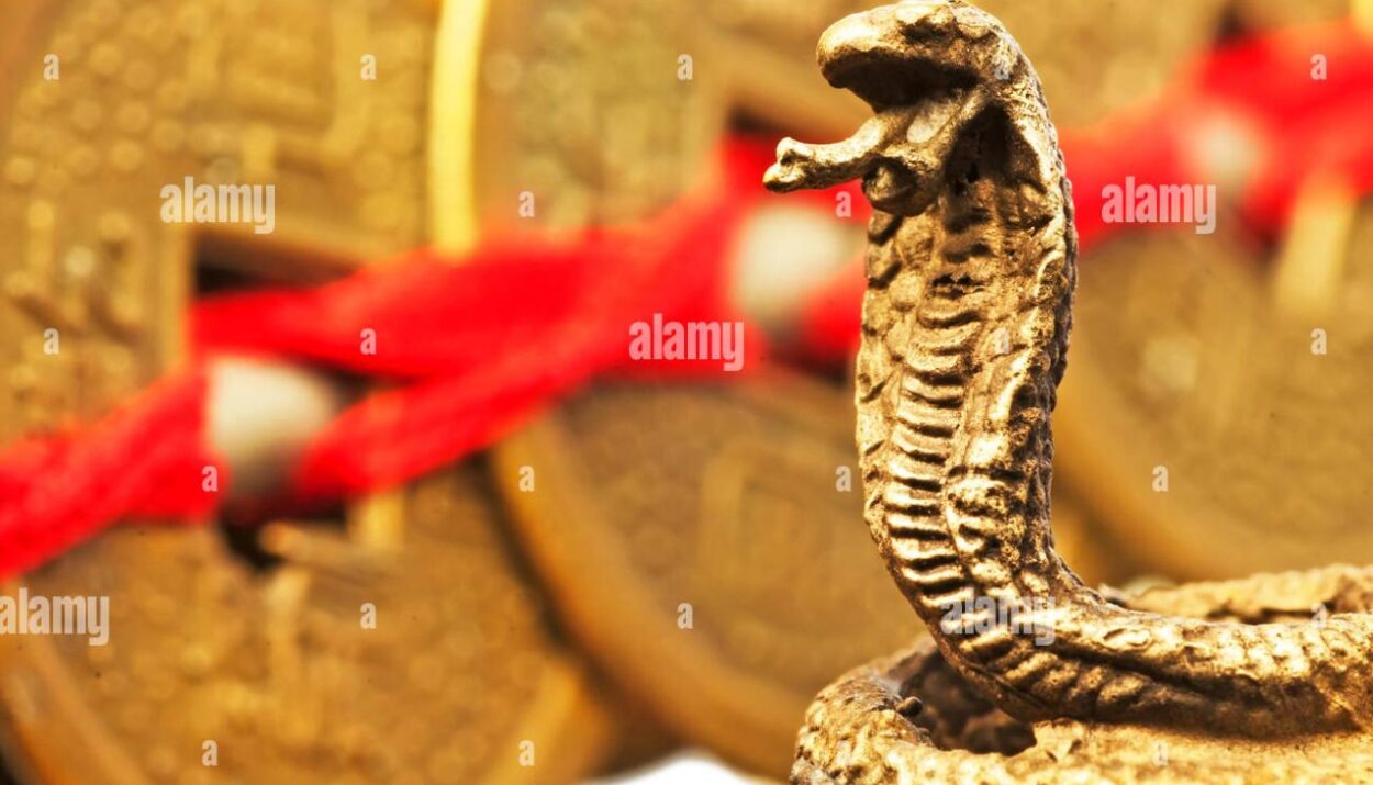 Feng shui rumah tahun ular kayu untuk keberuntungan