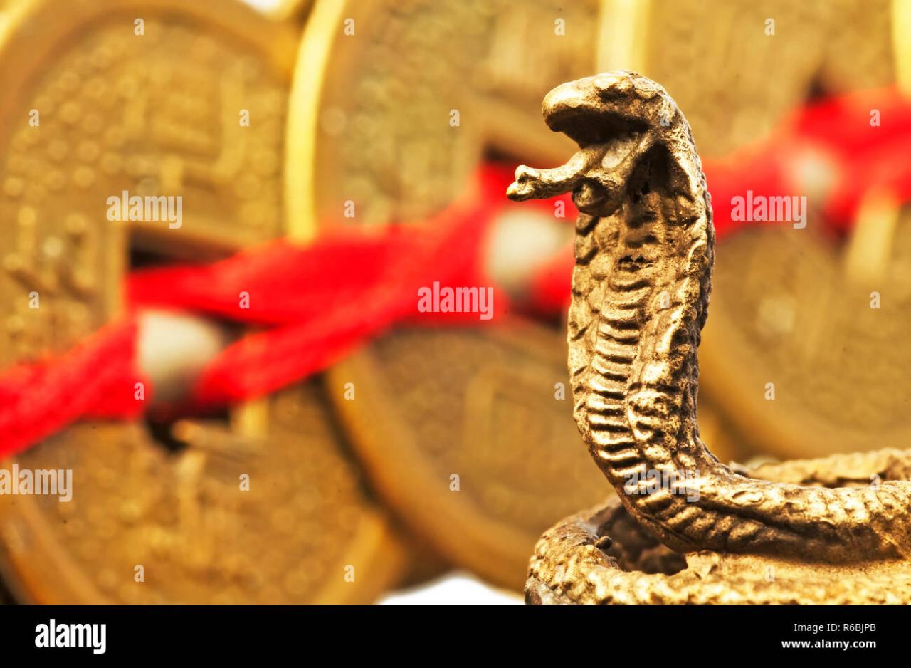 Feng shui rumah tahun ular kayu untuk keberuntungan