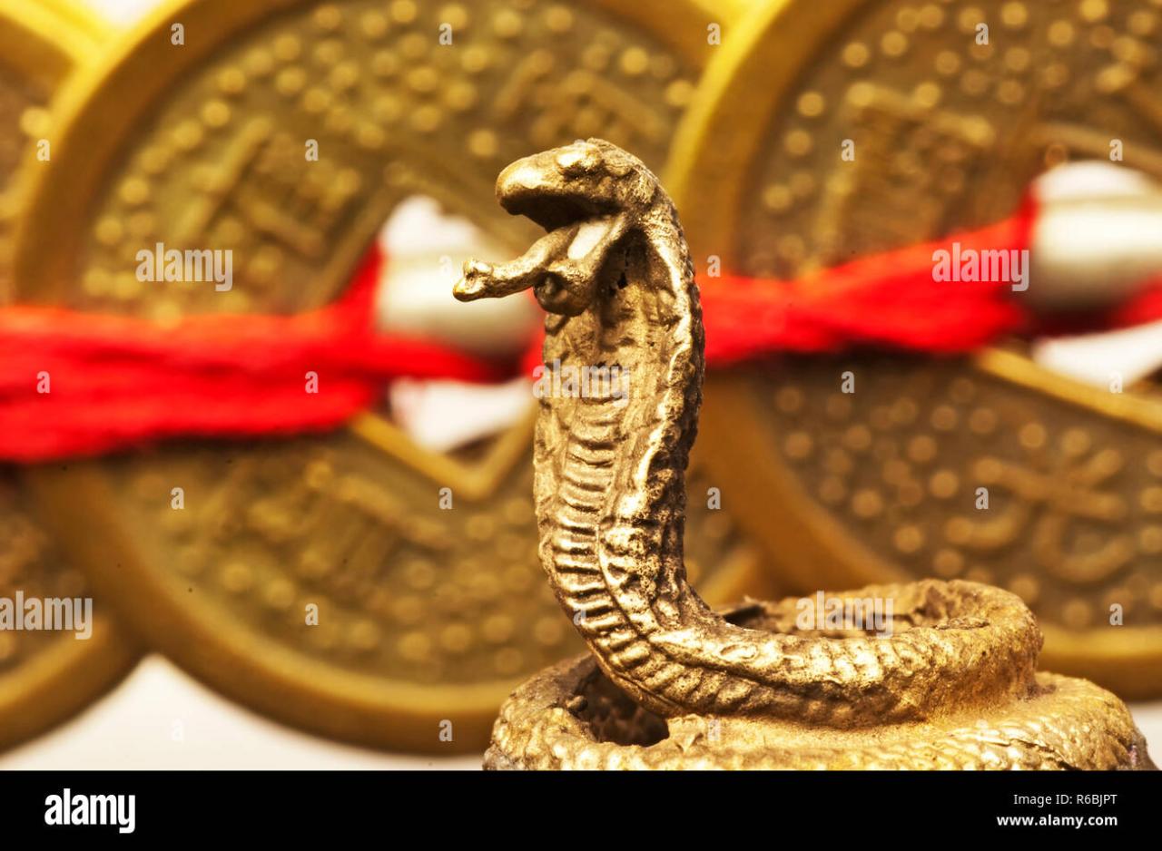 Feng shui snake Feng shui snake