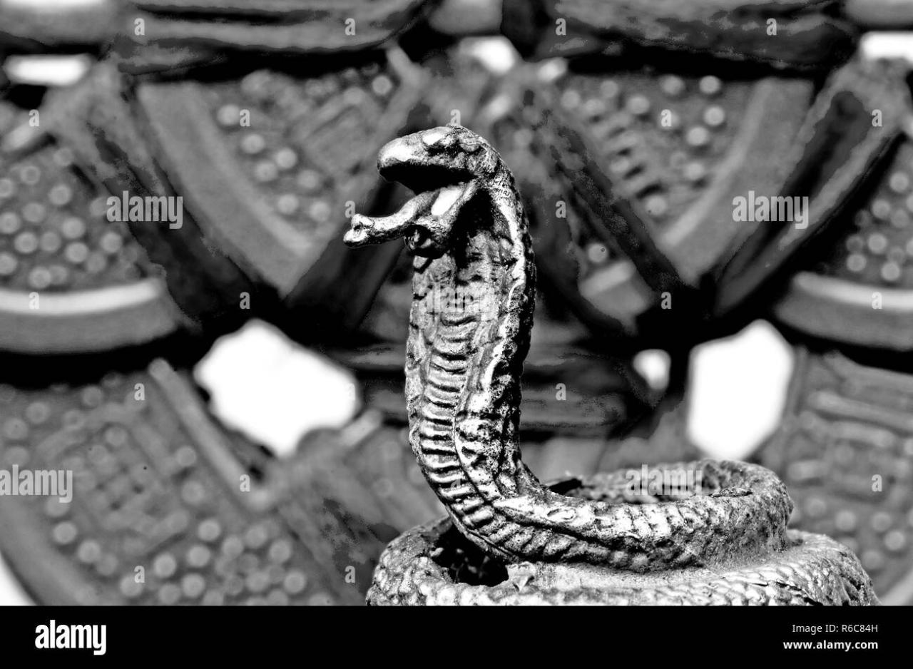 1965 snake wood year chinese zodiac traits what personality snakes born Arti feng shui tanggal lamaran di tahun ular kayu