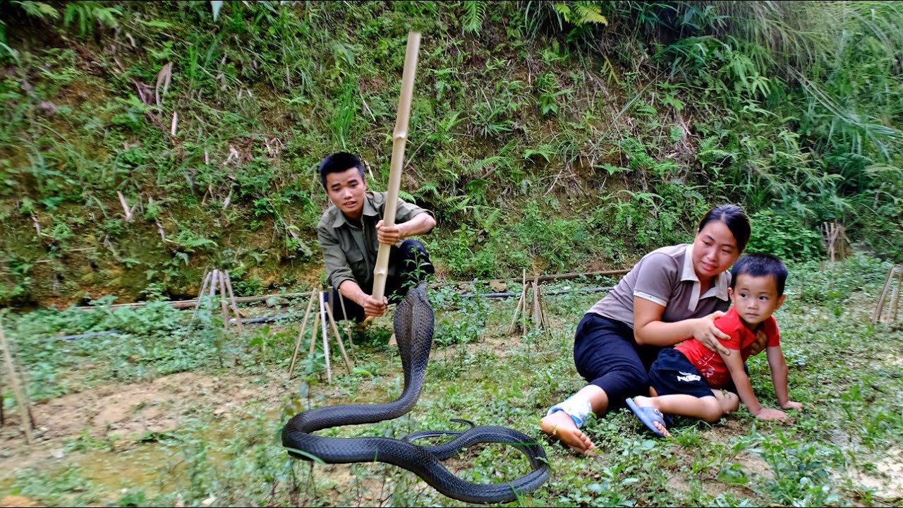 Snakes house out keep learn Snakes house out keep learn
