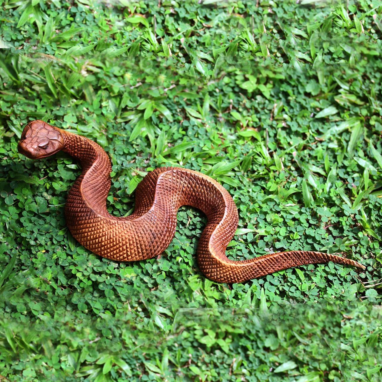 Sheep snake compatibility Sheep snake compatibility